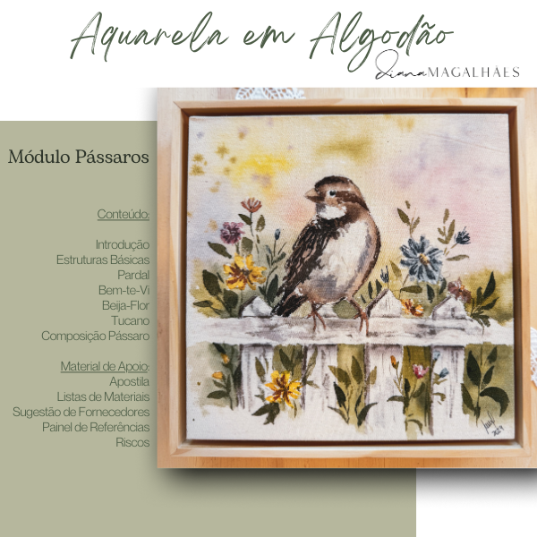 Módulos Extras 6 3 1