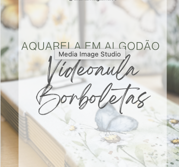 Videoaula Borboletas 7 apostila