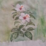 Começar 26 IMG_0018