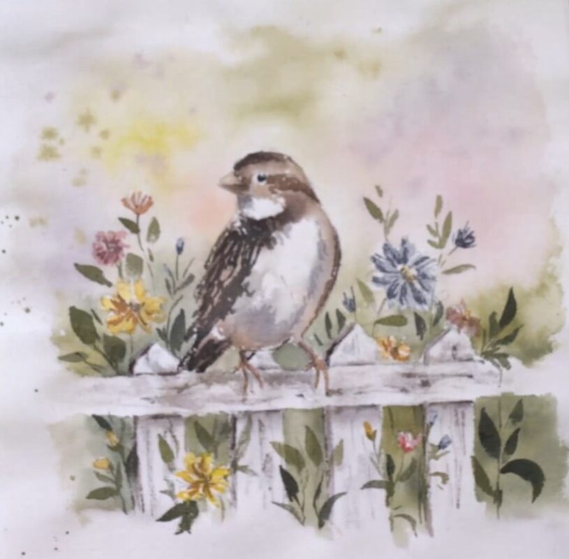 pássaro pardal aquarela