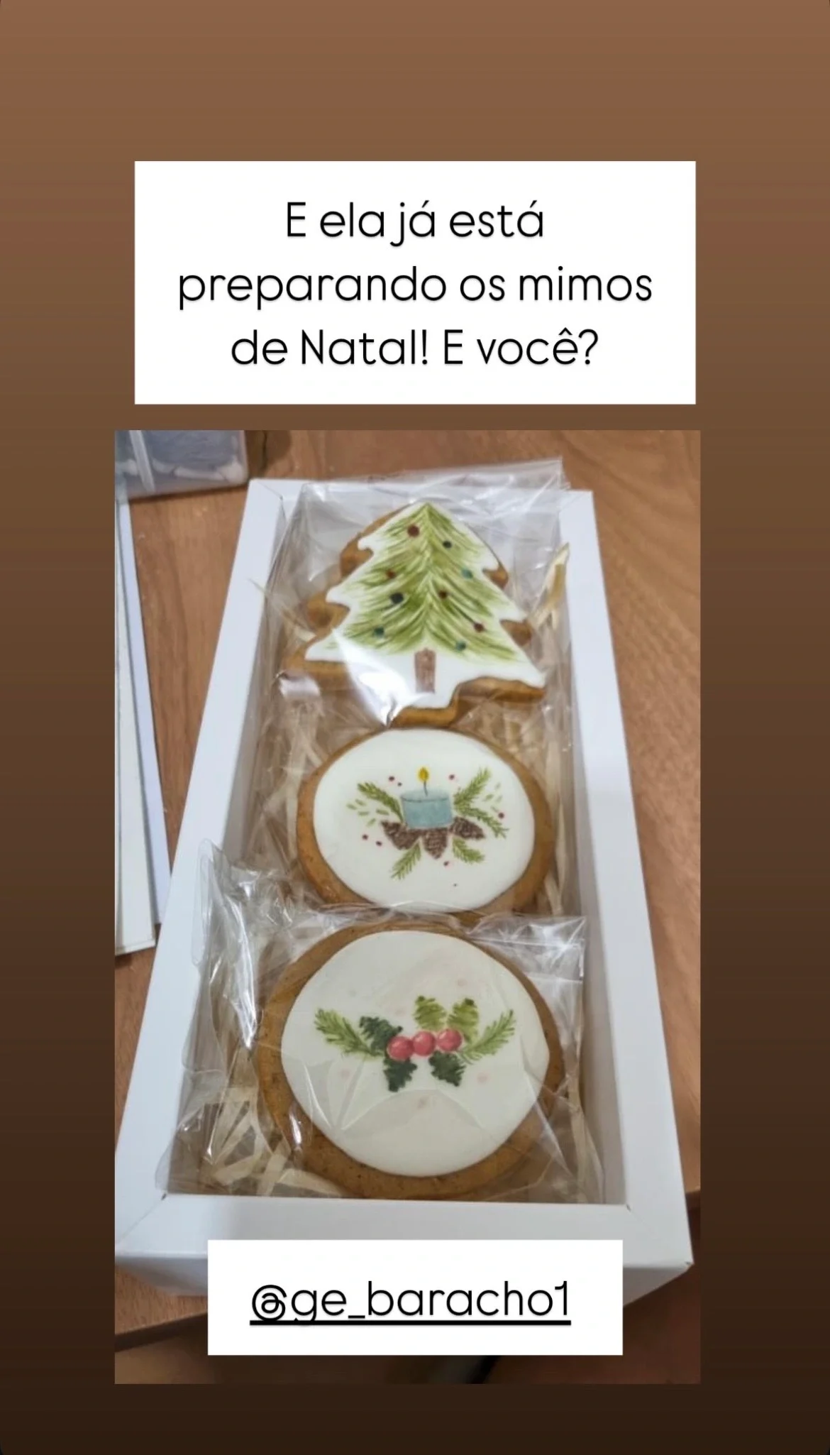 DEPOIMENTO DIANA 05